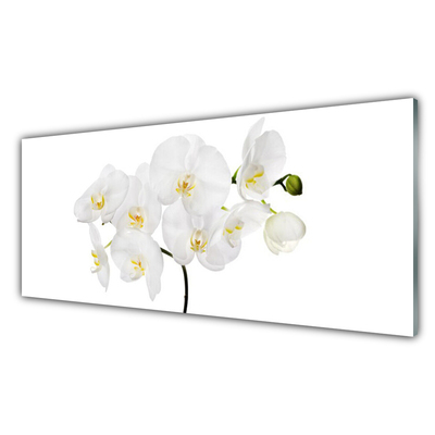 Tableaux sur verre Fleurs floral blanc