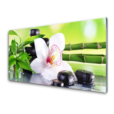 Tableaux sur verre Pierres fleurs bambou floral vert blanc noir