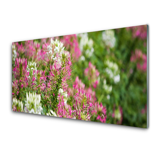 Tableaux sur verre Fleurs floral rose blanc vert