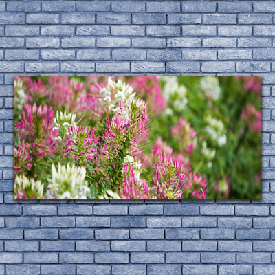 Tableaux sur verre Fleurs floral rose blanc vert