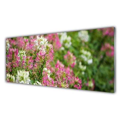 Tableaux sur verre Fleurs floral rose blanc vert