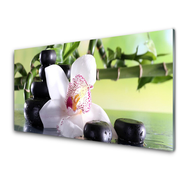 Tableaux sur verre Pierres fleurs bambou floral vert blanc noir