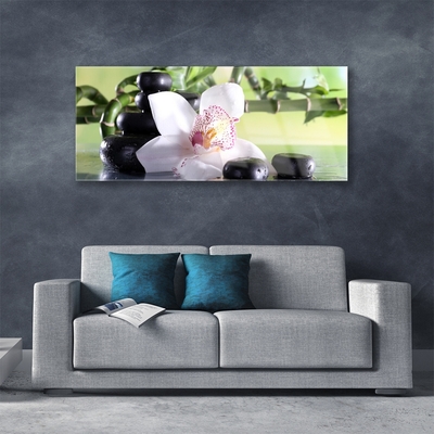 Tableaux sur verre Pierres fleurs bambou floral vert blanc noir