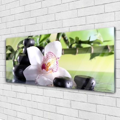 Tableaux sur verre Pierres fleurs bambou floral vert blanc noir