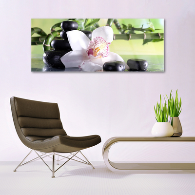 Tableaux sur verre Pierres fleurs bambou floral vert blanc noir