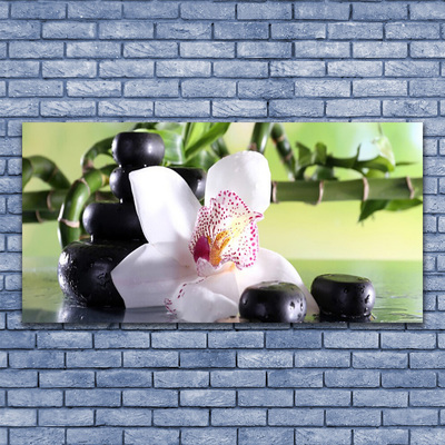 Tableaux sur verre Pierres fleurs bambou floral vert blanc noir