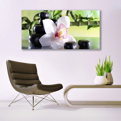 Tableaux sur verre Pierres fleurs bambou floral vert blanc noir