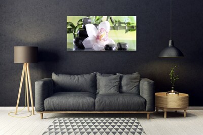Tableaux sur verre Pierres fleurs bambou floral vert blanc noir