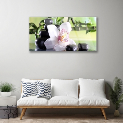 Tableaux sur verre Pierres fleurs bambou floral vert blanc noir