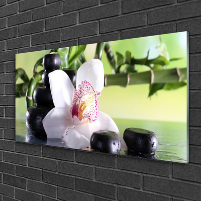 Tableaux sur verre Pierres fleurs bambou floral vert blanc noir