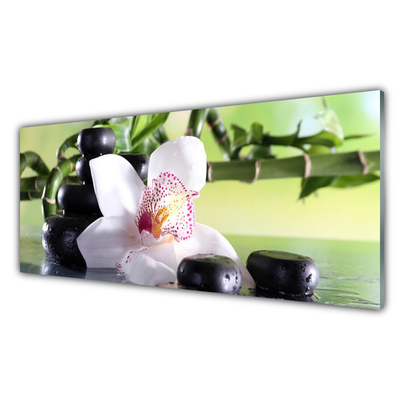 Tableaux sur verre Pierres fleurs bambou floral vert blanc noir
