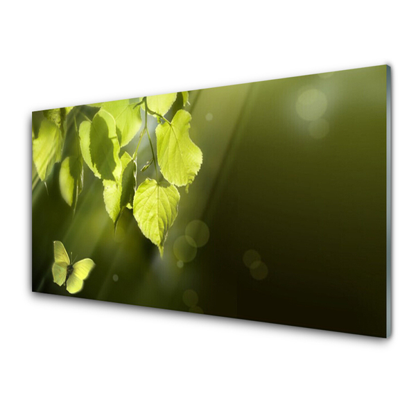 Tableaux sur verre Feuilles papillon nature vert