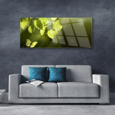 Tableaux sur verre Feuilles papillon nature vert