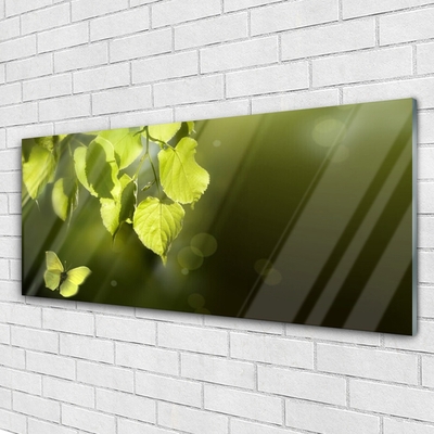 Tableaux sur verre Feuilles papillon nature vert