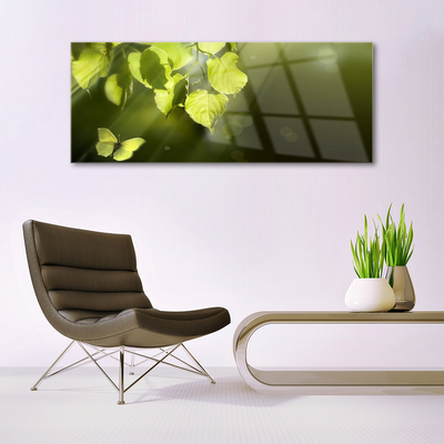 Tableaux sur verre Feuilles papillon nature vert