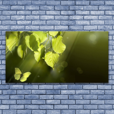 Tableaux sur verre Feuilles papillon nature vert