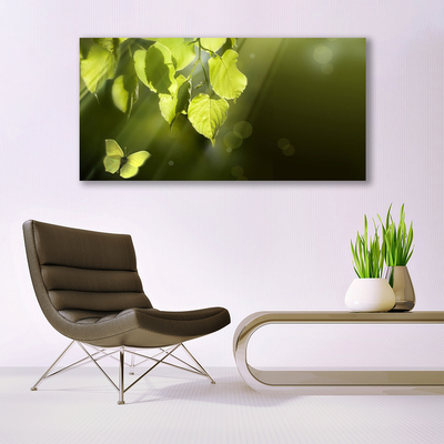 Tableaux sur verre Feuilles papillon nature vert