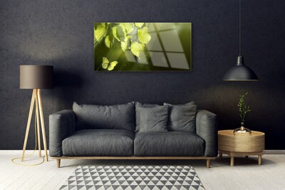 Tableaux sur verre Feuilles papillon nature vert