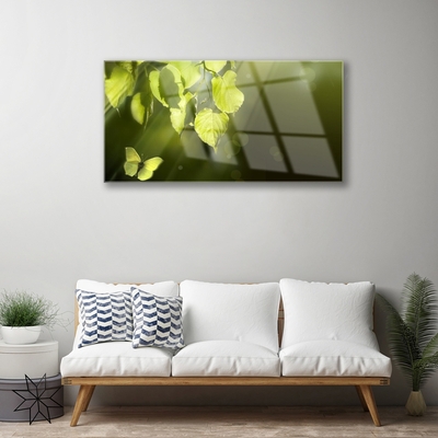 Tableaux sur verre Feuilles papillon nature vert