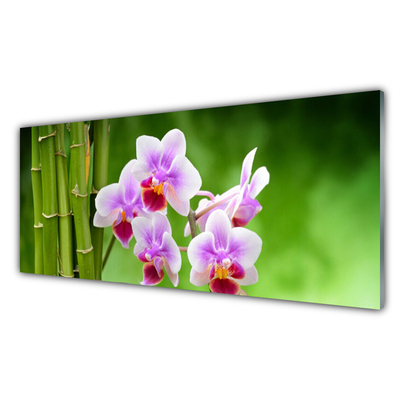 Tableaux sur verre Bambou fleurs floral vert rose