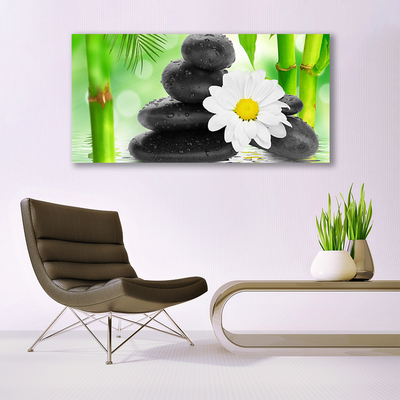 Tableaux sur verre Bambou pierres fleurs art vert blanc noir