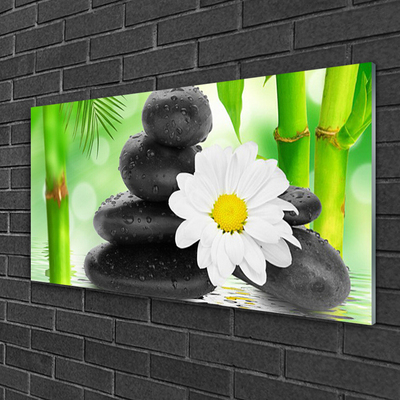 Tableaux sur verre Bambou pierres fleurs art vert blanc noir