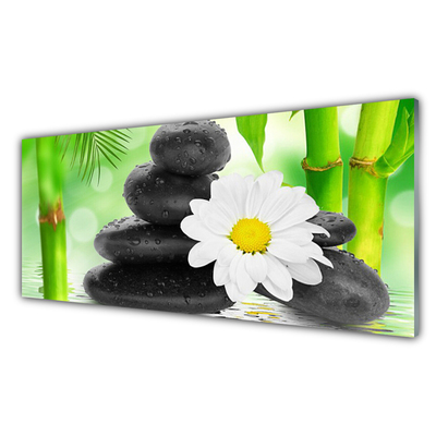 Tableaux sur verre Bambou pierres fleurs art vert blanc noir