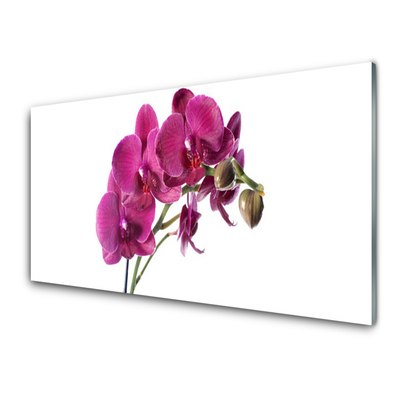 Tableaux sur verre Fleurs floral rouge