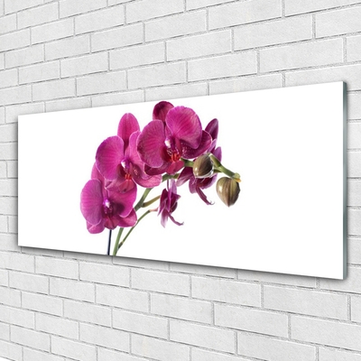 Tableaux sur verre Fleurs floral rouge