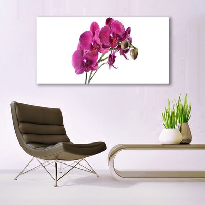 Tableaux sur verre Fleurs floral rouge