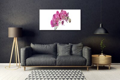 Tableaux sur verre Fleurs floral rouge