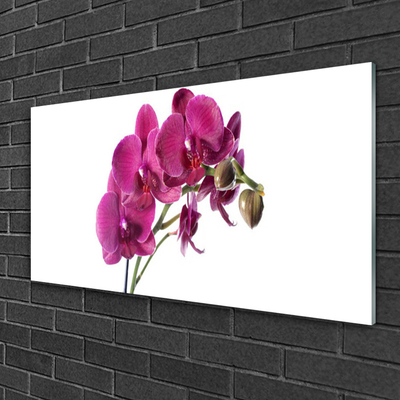 Tableaux sur verre Fleurs floral rouge