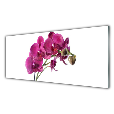 Tableaux sur verre Fleurs floral rouge