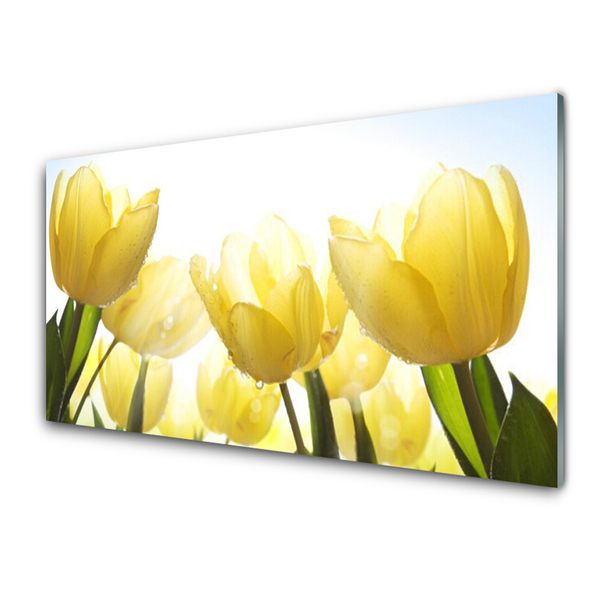 Tableaux sur verre Tulipes floral jaune