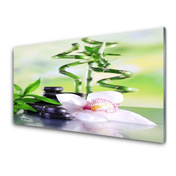 Tableaux sur verre Bambou pierres fleurs floral vert blanc noir