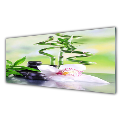 Tableaux sur verre Bambou pierres fleurs floral vert blanc noir