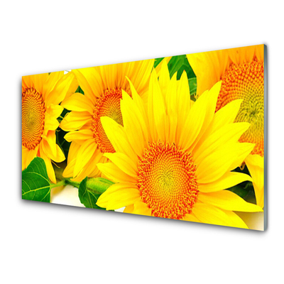 Tableaux sur verre Tournesol floral jaune