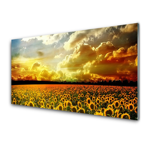 Tableaux sur verre Tournesol prairie floral jaune brun