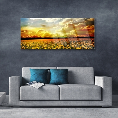 Tableaux sur verre Tournesol prairie floral jaune brun