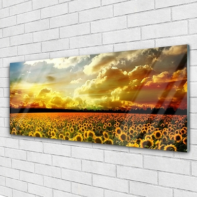 Tableaux sur verre Tournesol prairie floral jaune brun