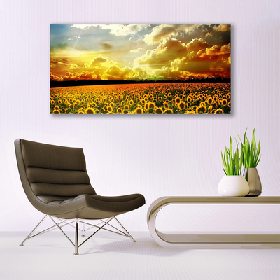 Tableaux sur verre Tournesol prairie floral jaune brun