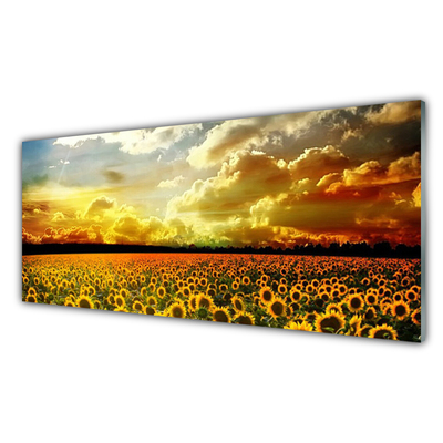 Tableaux sur verre Tournesol prairie floral jaune brun