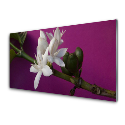 Tableaux sur verre Fleur floral blanc vert