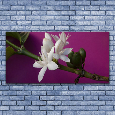 Tableaux sur verre Fleur floral blanc vert