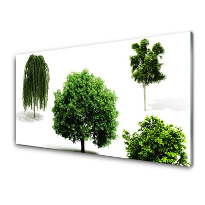 Tableaux sur verre Arbres nature brun vert