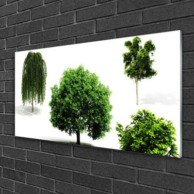 Tableaux sur verre Arbres nature brun vert