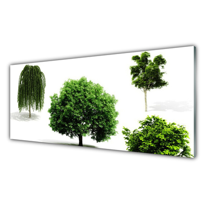 Tableaux sur verre Arbres nature brun vert