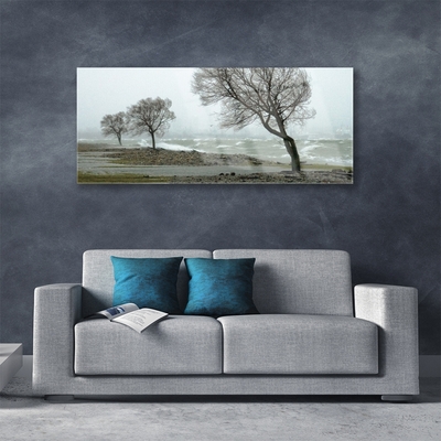 Tableaux sur verre Arbres nature brun