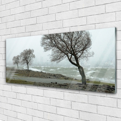 Tableaux sur verre Arbres nature brun