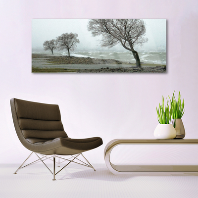 Tableaux sur verre Arbres nature brun